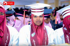 Ijazah And Ten Qira'at Institute